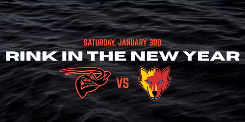 Rink in the New Year