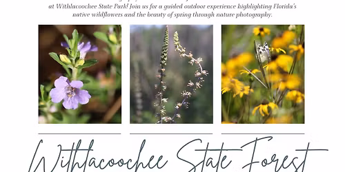 National Photography Month and Wildflower Week