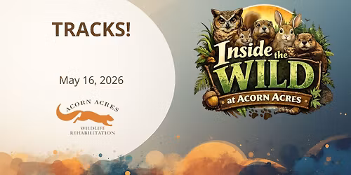 Remake Learning Days - TRACKS! 