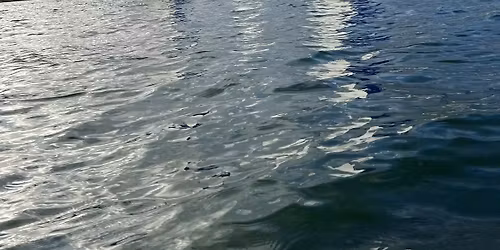 SSS 2 (BUCS Team Racing Qualifiers)