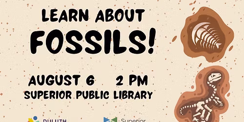 Learn About Fossils!