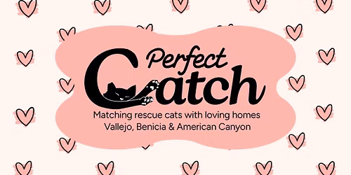 Find Your Perfect CATch Adoption Event