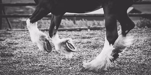 Dodson & Horrell come to Buttermere Shires