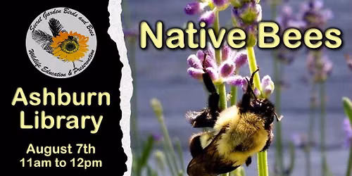 Native Bees