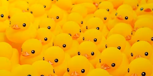 Annual New Year's Duck Race 2026