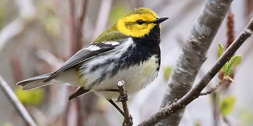 Wings Over Lake Erie | Stop # 3