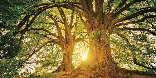 \u201cThe Natural American Way of Death\u201d with author Dr. Diana Cunningham