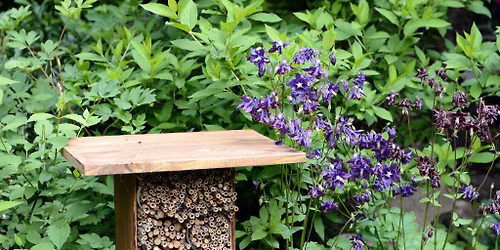Build a Mason Bee House