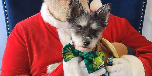 2nd Annual Santa Paws