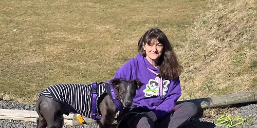 Pr\u00e4senzvortrag mit Yesim Bilz "Schmerzen beim Hund erkennen"