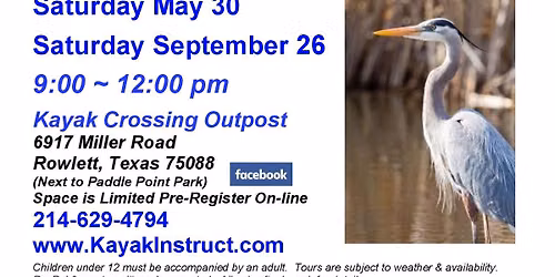 Lake Ray Hubbard Bird\/Nature Tours