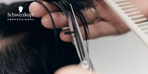 Schwarzkopf Professional Modern Shags & Bixies