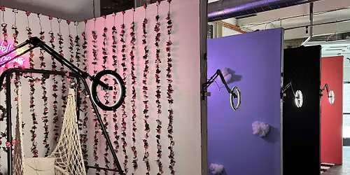 Picture Perfect Selfie Museum