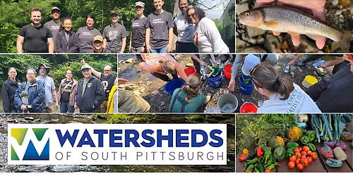 Stream & Litter Clean-Up