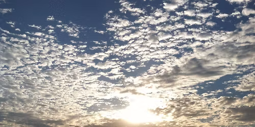 Simple, Spacious, and Centered: A Daylong Women\u2019s Retreat