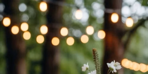 Garner-Maas Wedding