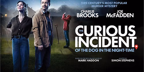 The Curious Incident of the Dog in the Night-Time