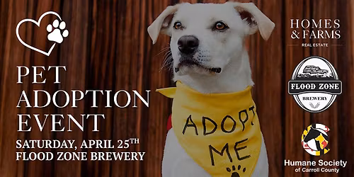 Pet Adoption Event at Flood Zone Brewery