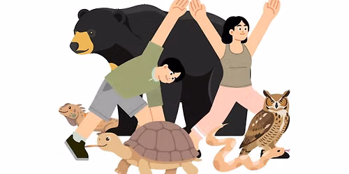 Animal Flow: Introductory Session