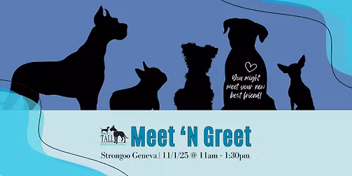 TNT Meet 'N Greet - Strongoo Geneva