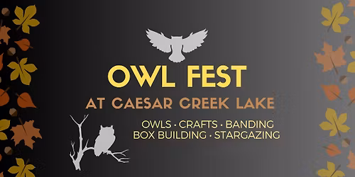 Owl Fest - Lots to see & do