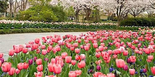 Love, Nature & the Art of Living Well: A Garden Brunch Transformative Exper