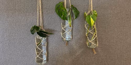 Propagation Hanger & Plant Cutting Workshop