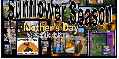 Mother's Day Sunflower Season Event at Sweetfields Farm