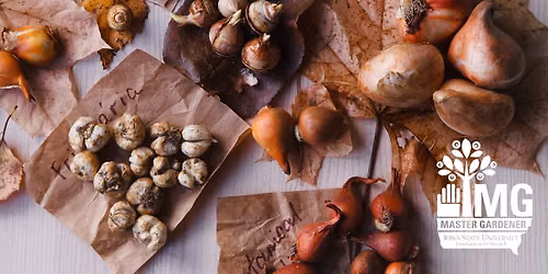 Plant Now, Enjoy Later: Preparing Your Garden for Spring