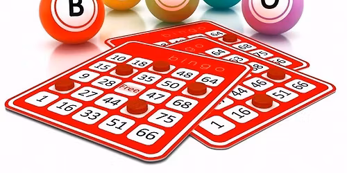 Mega-Party Vendor Bingo & Shopping Event!