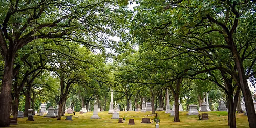 Legacy Trees of Lakewood: Public Walking Tour