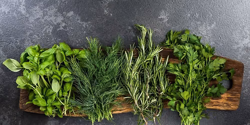 Create Your Own Herb Garden \/ 06-03