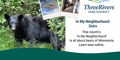 In  My Neighborhood: Bears