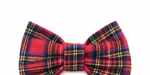 Flannel Formal 2025