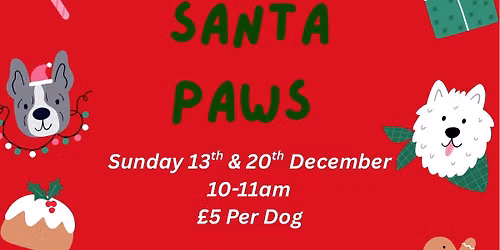 Santa Paws \ud83d\udc36\ud83c\udf85\ud83c\udffd