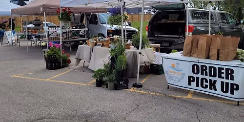 Samplefest Market