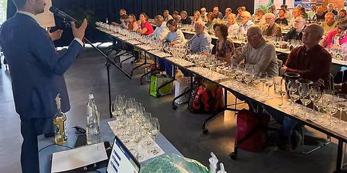 Wine Bootcamp