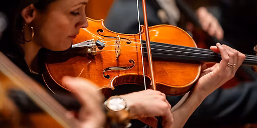 String Spectacular