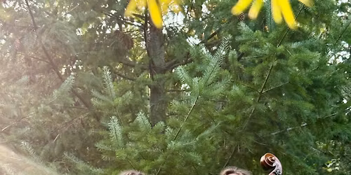 The Cross-Eyed Possum Live at The Natural History Institute 