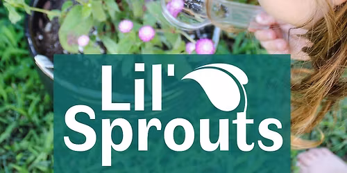 Lil\u2019 Sprouts \u2013 On the Go