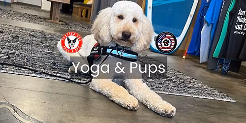 Yoga & Pups with Hearts 4 Heroes Paw Platoon