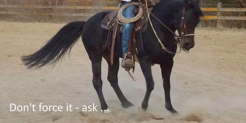 Classic & Californio Style Horsemanship - Altkalifornische Reitweise