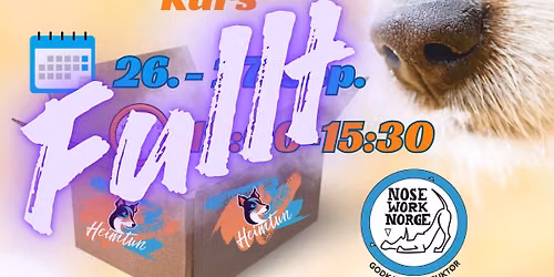 Nosework nybegynnerkurs