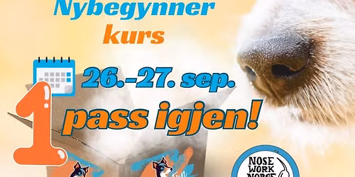 Nosework nybegynnerkurs