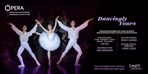 Sol Leon \u2013 Paul Lightfoot \u2013 Hans van Manen \u2013 Luk\u00e1cs Andr\u00e1s \u2013 Harald Lander: Dancingly Yours