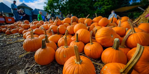 Pumpkin Fest