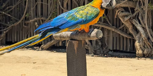 World Rainforest Day at the Zoo!