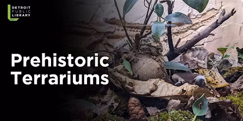 Prehistoric Terrariums for Adults