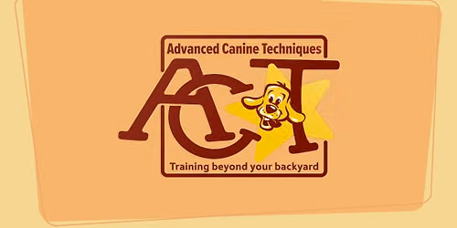 Dog Training classes in Muncie 