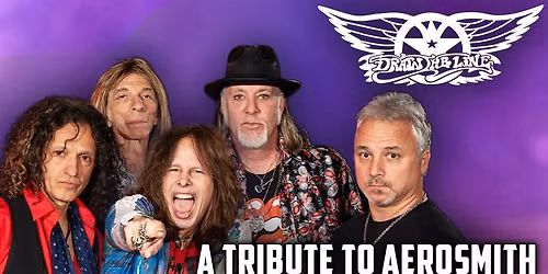 Aerosmith Tribute - Draw the Line